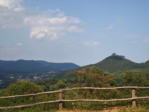 Annweiler und Rehberg Rundweg