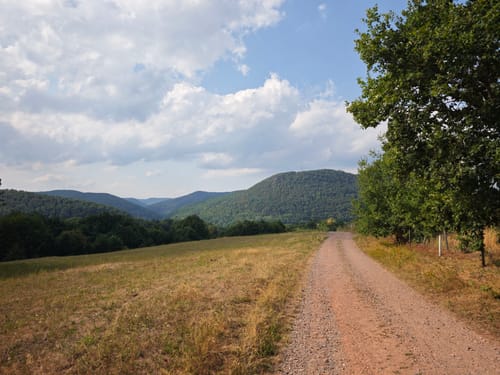 Annweiler und Rehberg Rundweg
