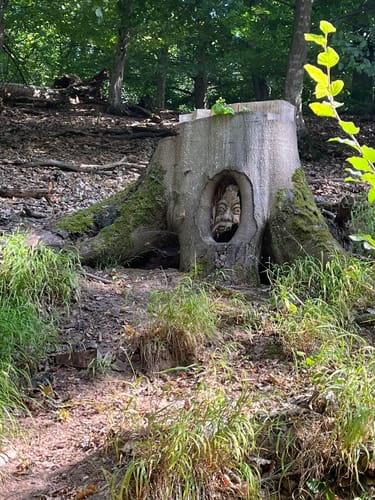 Geheimnisvoller Lemberg (Vitaltour)