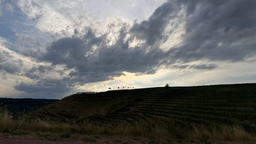 Stein, Wein & Farbe (VitalTour)