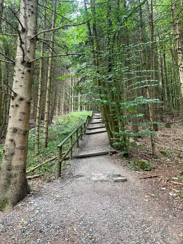 Guckaisee (Extratour)