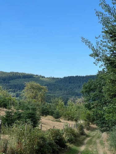 Wallender Born Rundweg