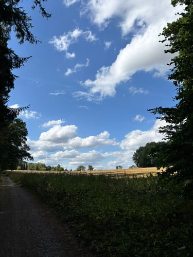 Wald- und Wiesenwanderung bei Loheland