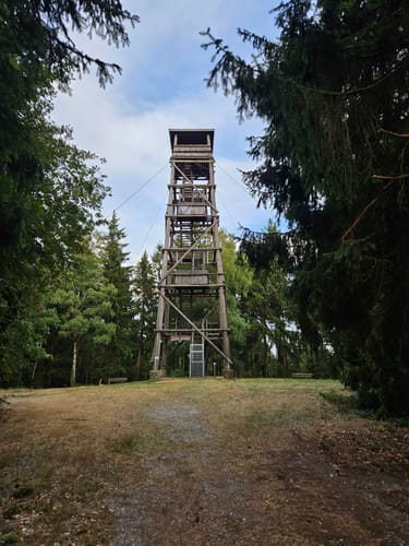 Über Salzkopf zum Sieben-Burgen-Blick