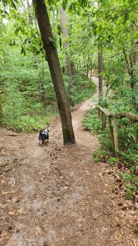 Ems-Erlebnisweg