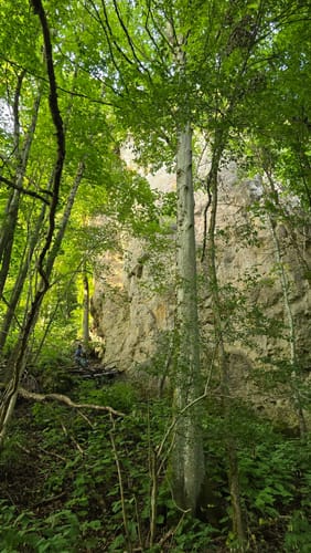 Rundweg Riesenburg - Engelhardsberg - Schottersmühle