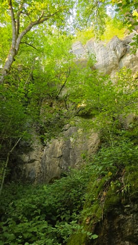 Rundweg Riesenburg - Engelhardsberg - Schottersmühle
