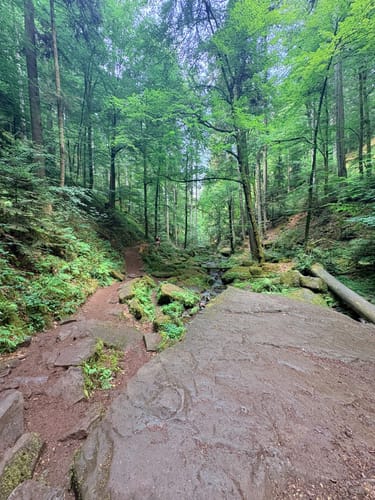 Wildes Monbachtal