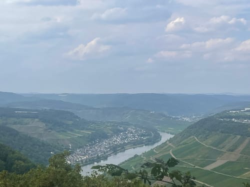 Briedeler Schweiz (Premiumwanderweg)