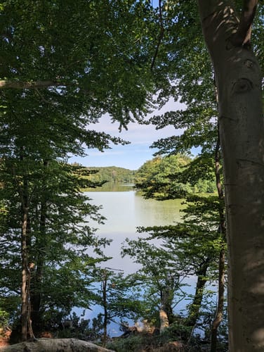 Im Biesenthaler Becken um den Hellsee