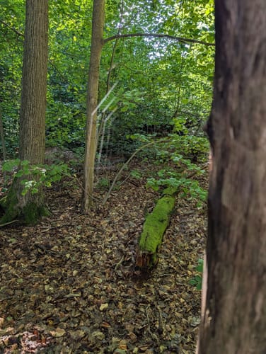 Im Biesenthaler Becken um den Hellsee