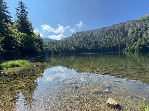 Caritashaus-Feldsee-Rundweg