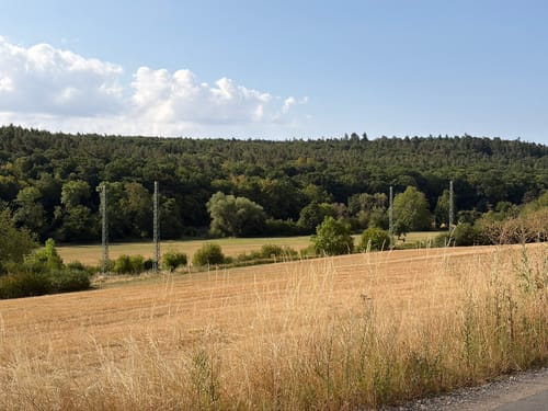 Hochwildpark Rheinland und Katzensteine