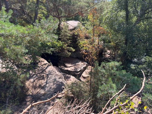 Hochwildpark Rheinland und Katzensteine