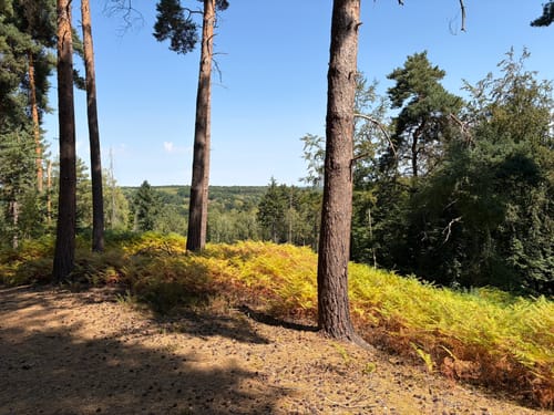 Hochwildpark Rheinland und Katzensteine