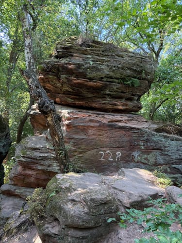 Hochwildpark Rheinland und Katzensteine