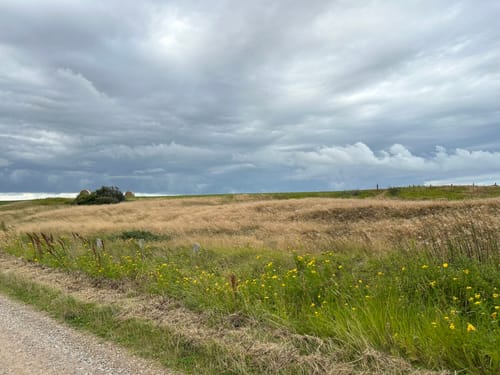 Mandø Rundt