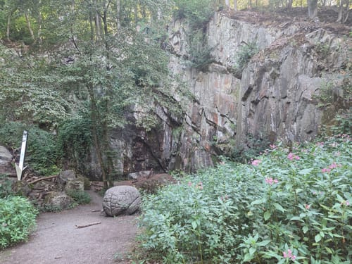Neandertal - Große Runde