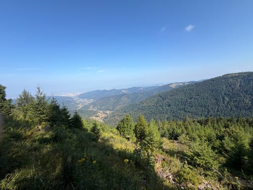 Belchensteig (Genießerpfad)