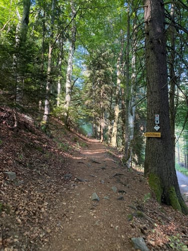 Belchensteig (Genießerpfad)