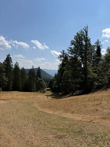 Belchensteig (Genießerpfad)