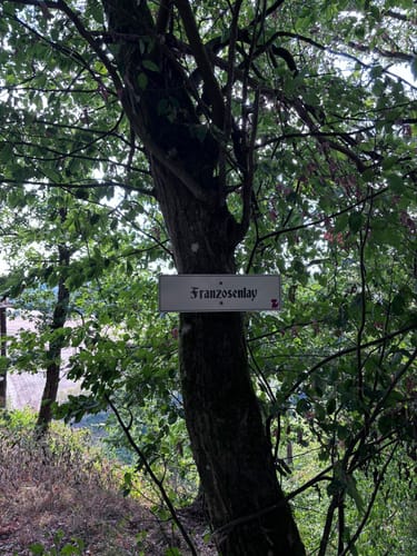 Von Balduinstein nach Birlenbach
