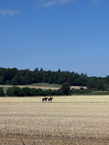 Von Balduinstein nach Birlenbach