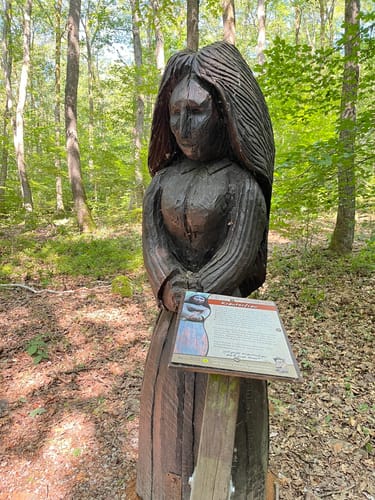 Zauberwald (Premiumspazierwanderweg)