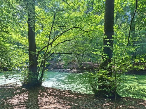 Lindenhorst - Grävingholz