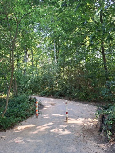 Lindenhorst - Grävingholz