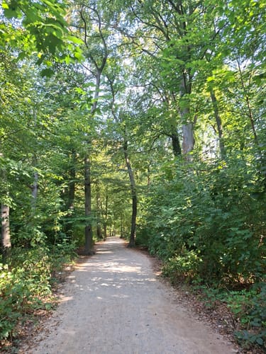 Lindenhorst - Grävingholz