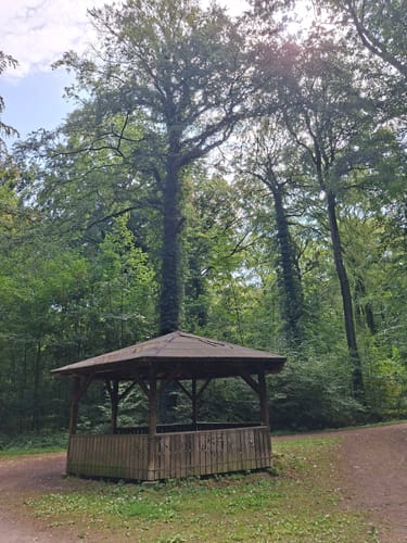 Lindenhorst - Grävingholz