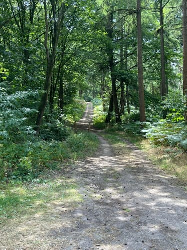 Materborn: Bergtour im Reichswald (A1)
