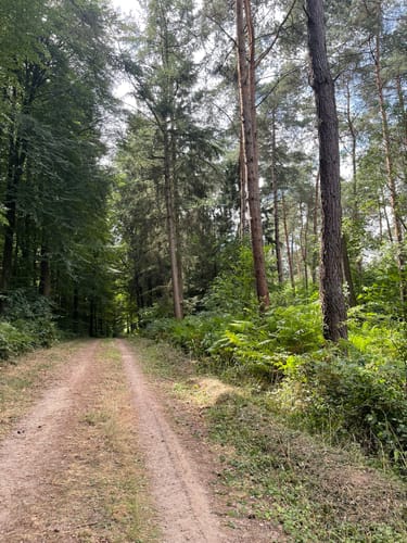 Materborn: Bergtour im Reichswald (A1)
