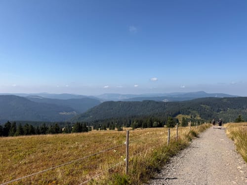 Auf den Feldberg