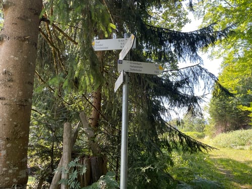 Laubenberg -Kapf -Eistobel Rundweg