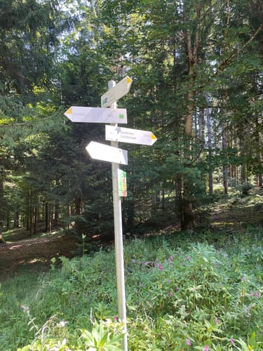 Laubenberg -Kapf -Eistobel Rundweg