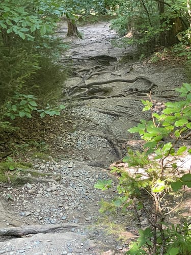 Laubenberg -Kapf -Eistobel Rundweg