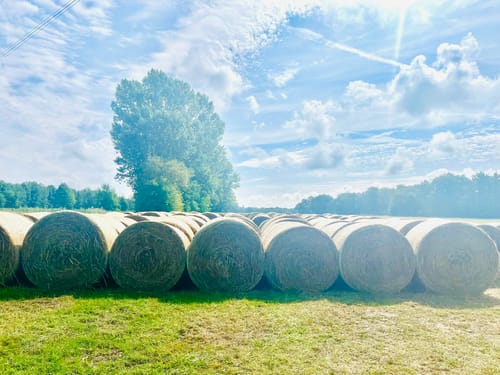 Lübben bis Lübbenau