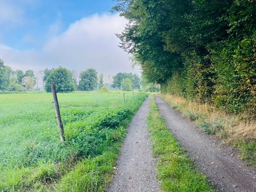 Lübben bis Lübbenau