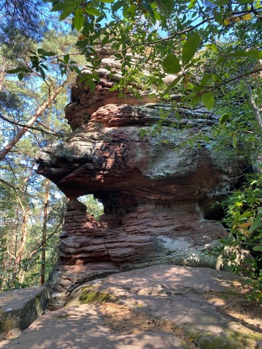 Dimbacher Buntsandstein Höhenweg (Premiumwanderweg)