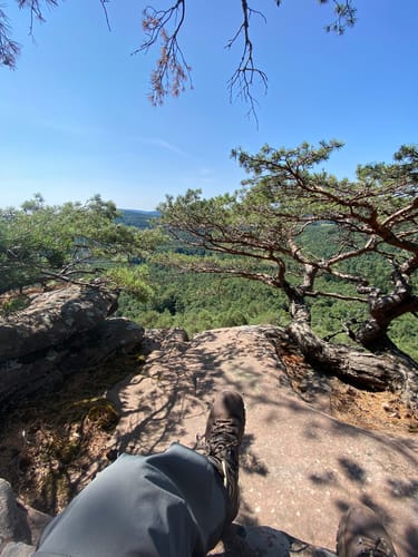 Dimbacher Buntsandstein Höhenweg (Premiumwanderweg)