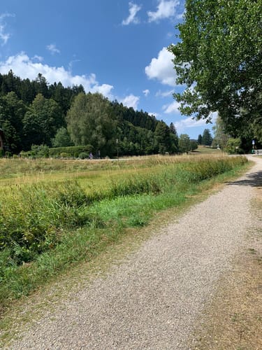 Evernius' Naturerlebnispfad Hinterzarten