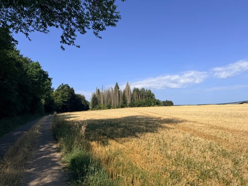 Premiumwanderweg: Traumschleife Stumm-Eisenhüttenweg