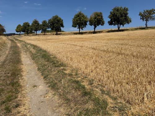 Premiumwanderweg: Traumschleife Stumm-Eisenhüttenweg