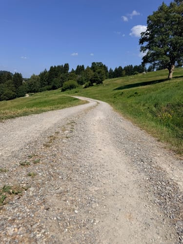 Trogener Moore und Hausbachklamm ab Weiler im Allgäu
