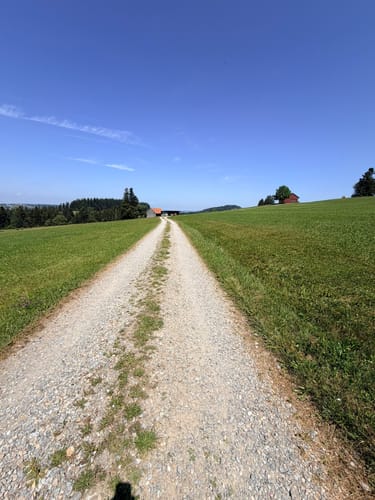 Trogener Moore und Hausbachklamm ab Weiler im Allgäu