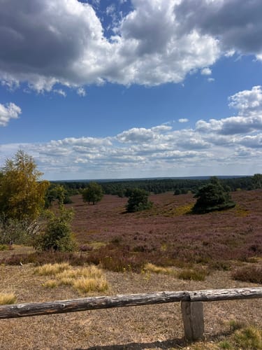 Heidschnuckenweg Etappe 2: Buchholz in der Nordheide - Handeloh