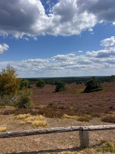 Heidschnuckenweg Etappe 2: Buchholz in der Nordheide - Handeloh