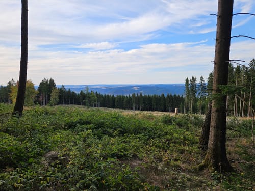 Über Salzkopf zum Sieben-Burgen-Blick